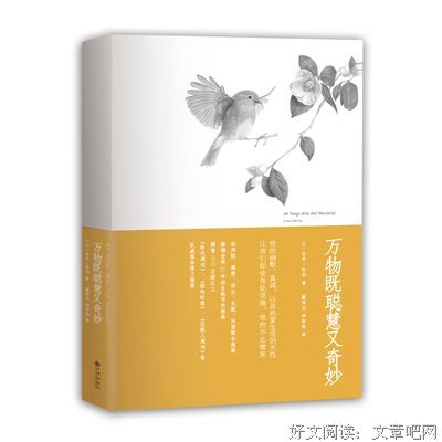 吉米·哈利经典句子