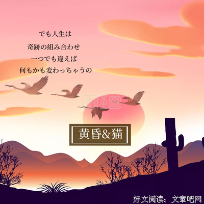 关于剽悍一只猫精彩语录