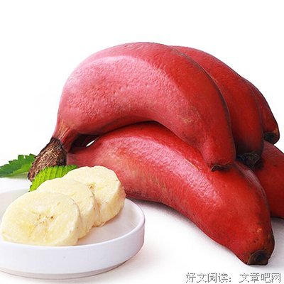 愤怒的香蕉名言