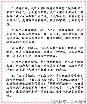 最新的《破茧成蝶》好段摘抄