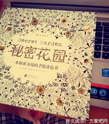 最经典的《秘密花园》经典语句