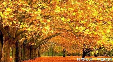 最全的《第一法师》小说摘抄