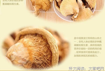 最全的《绯雪倾城》佳句摘抄大全