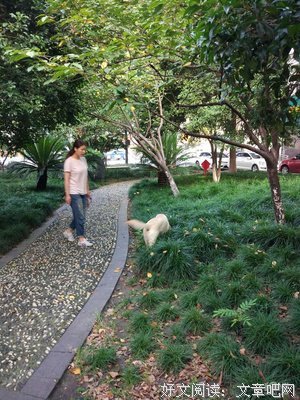 只有傻X才会说：“我的狗不咬人”