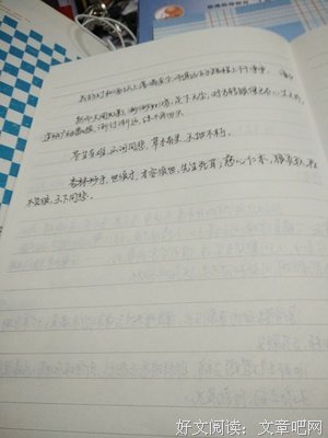 最经典的《网络小说》语录摘抄
