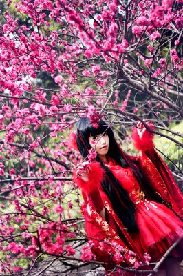 最全的《花容天下》小说书摘