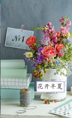 最经典的《花开半夏》小说书摘