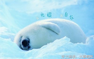 《萧十一郎》经典语句