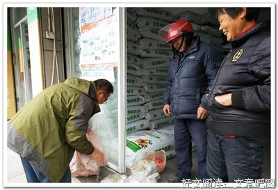 李根寿 ：蚊子二题