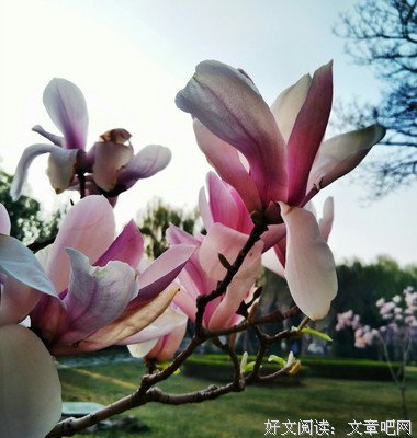 最经典的《行者无疆》美文美句
