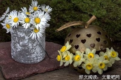 最经典的《钢铁之翼》经典的句子大全