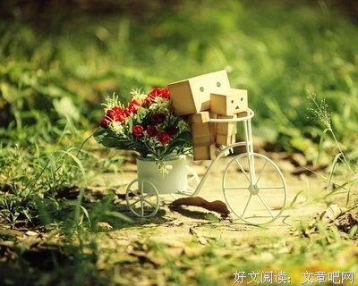 最新的《青春美文》经典语录