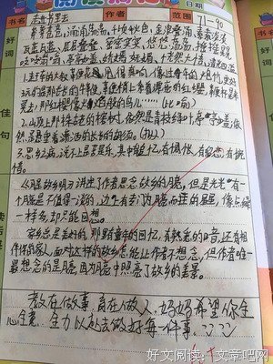最新的《静心观照》佳句摘抄
