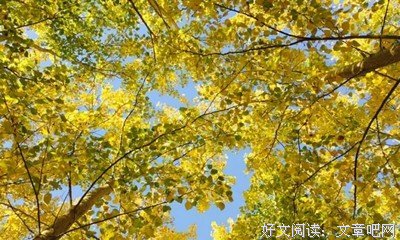 再见，再也不见