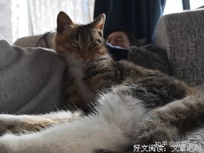 他总是一个人来，一呆就是一夜 - 08