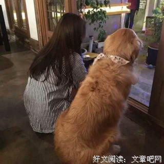 “我要好好的爱你”“滚滚滚”