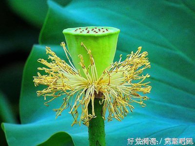 关于谨遵的名言