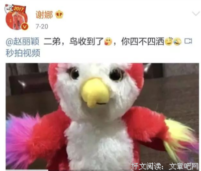 “谢娜，你根本不配当妈！”