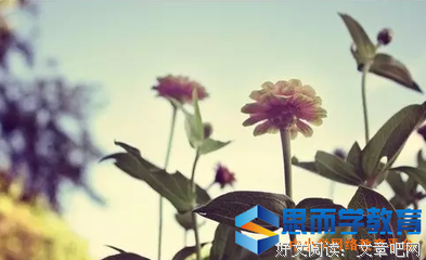 我所爱的一切优美的句子