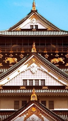都可枫句子
