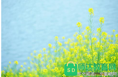 自己经典的句子
