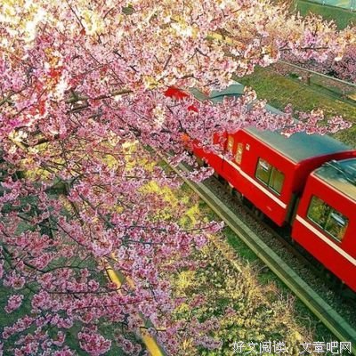 关于好句的优美句子