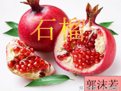 语言犀利的句子