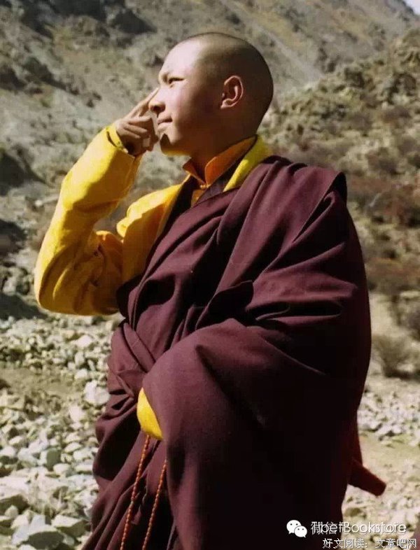 大宝法王噶玛巴名言大全
