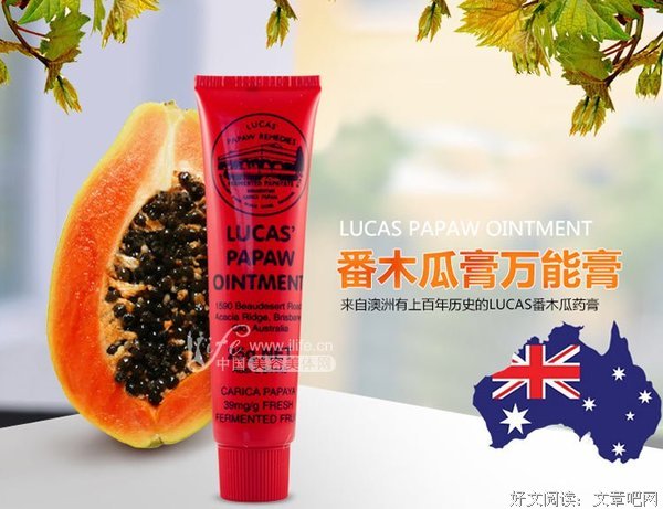 最全的木瓜汪经典句子