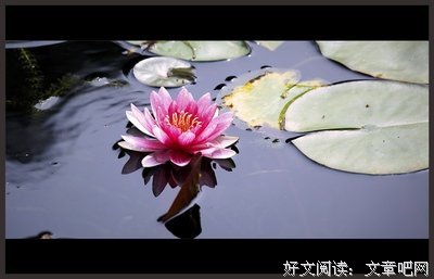 最全的《夜色玛奇莲》经典名句大全