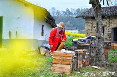 《山楂树之恋》经典名句