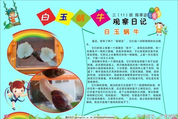 最经典的《疯狂动物城》经典句子