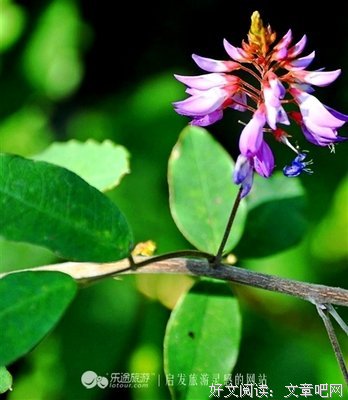 最新的《穆桂英挂帅》名句欣赏