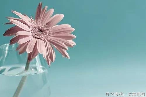 做安静的自己，最迷人！