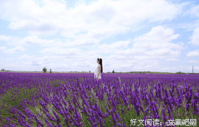 生命当有忆名句欣赏