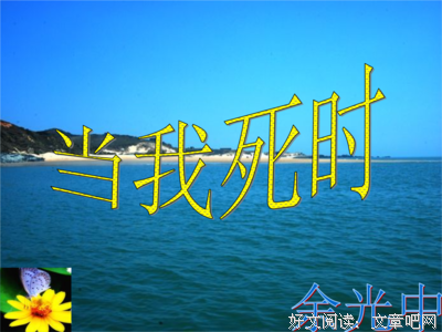  〖。葬我以风句子大全