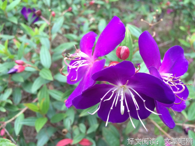 人的一生： 昨天，今天，明天