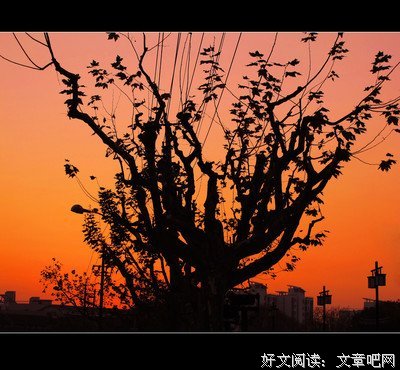 最全的《幸福的七种颜色》经典语句