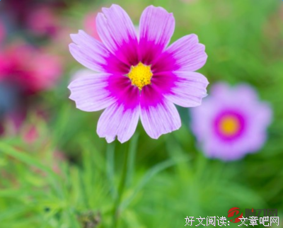 清心经典的句子