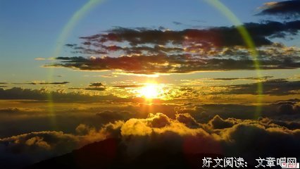 感性经典的句子