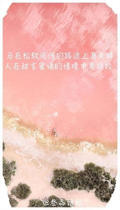 有关恩.的句子