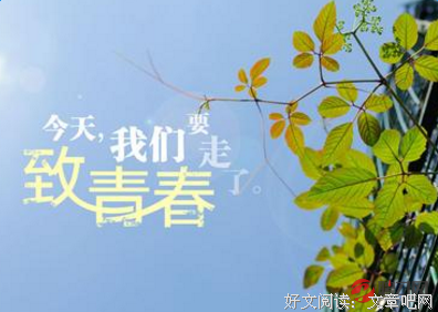 致青春经典的句子