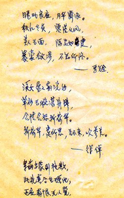关于花花世界的名句摘抄