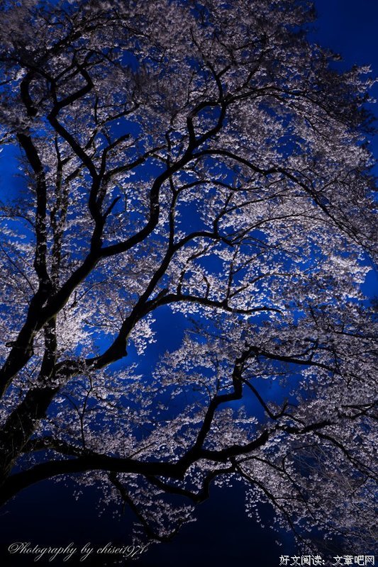 《群青》经典观后感有感