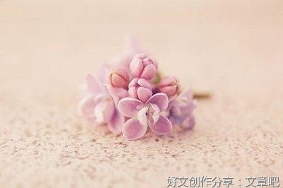少年可安得的优美句子