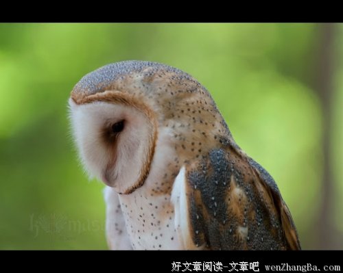 付出总有回报