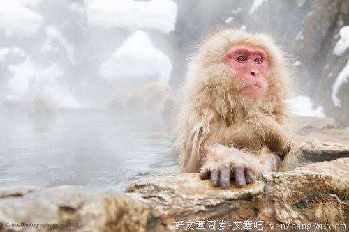 等你