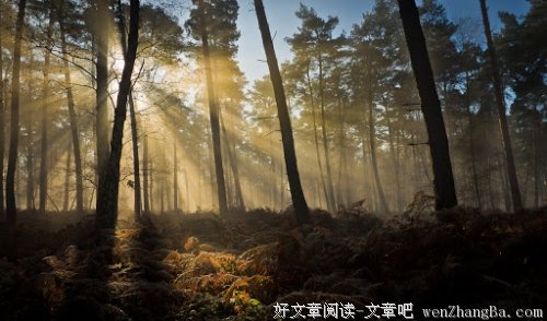 《一个人的世界2006～2007》