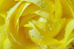 积蓄