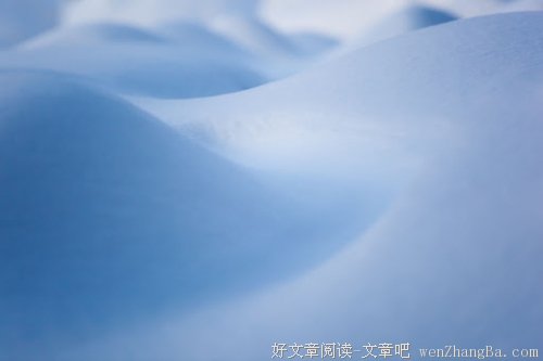 又见一年秋叶落